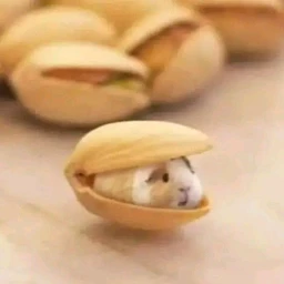 радар