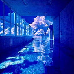 Dive in
