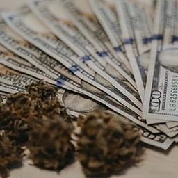 hustle