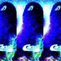 Entropy