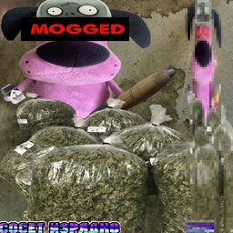 ДЛЯ ТИКТОКА