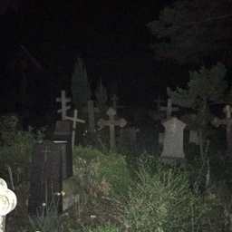 Кровавый лес