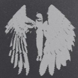 Angelcore skoe