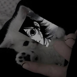 t0ky0 gh0ul