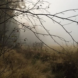 October