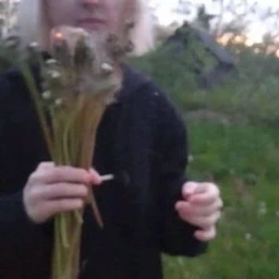 цветочки