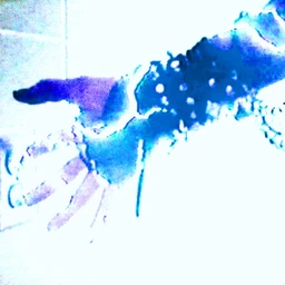 shpbSlut
