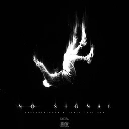 NO SIGNAL