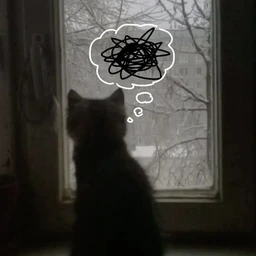 sadness