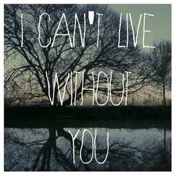 cantwithoutu