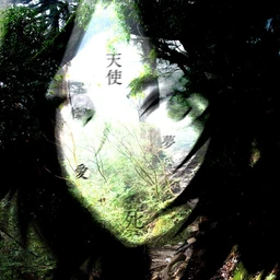 stasis