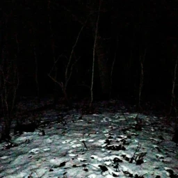 ВЫS0K13_SОСHЫ