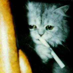 трц20