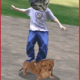 dot