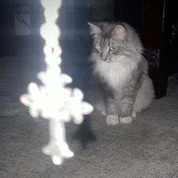 фон