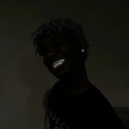 Lean4Real