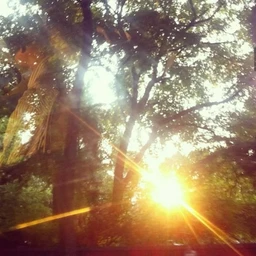 indian summer