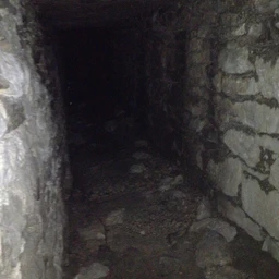 Дарк скай