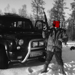 нигеры
