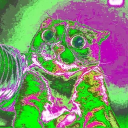 crackograd