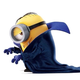 zag