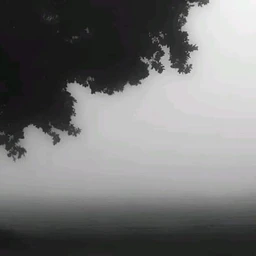 pain (экс писать в тг)