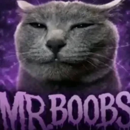 mr boobs