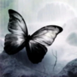 Tempo