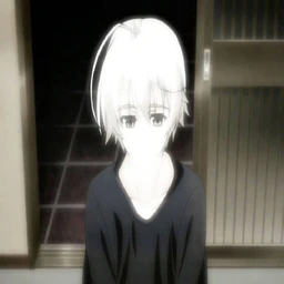 sloppi