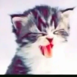 kiss