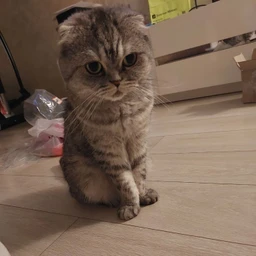 777