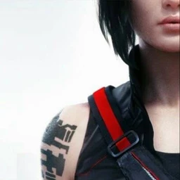 mirror’s edge