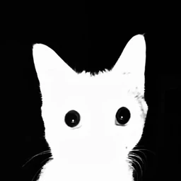 X-RAY