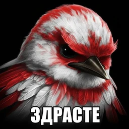 subbed