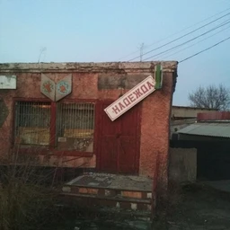 грибной дождь