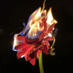 torment