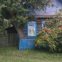 DEREVNYA , GORILLA GLUE TYPE
