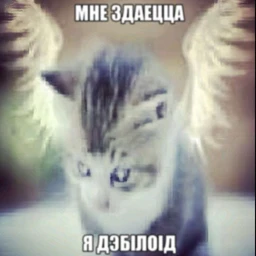 Перегрузка