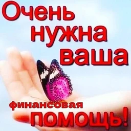 KBsG