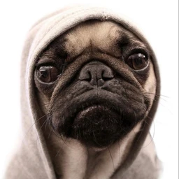 URDEN