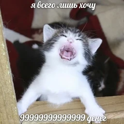 H1GH