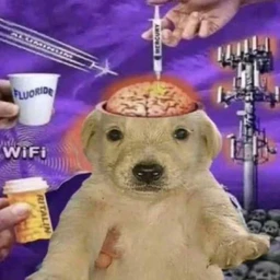 MemoryLeak