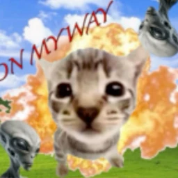 bonk