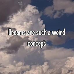 untitled dreams