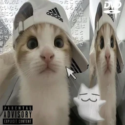 0001