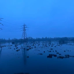 deluge