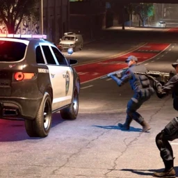 COPS