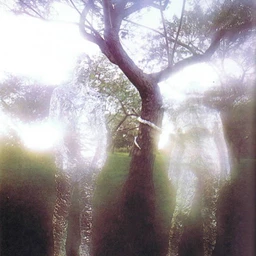 17:17