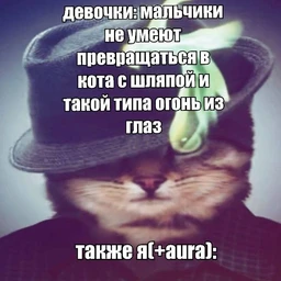 nice cat bro