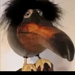 skkJazZ